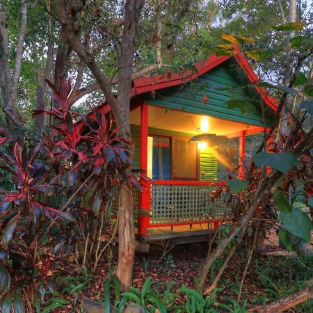 Lake Eacham Tourist Park & Cabins Εξωτερικό φωτογραφία