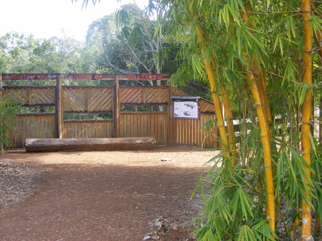 Lake Eacham Tourist Park & Cabins Εξωτερικό φωτογραφία