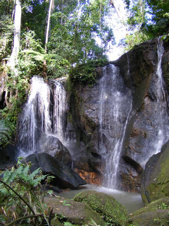 Lake Eacham Tourist Park & Cabins Εξωτερικό φωτογραφία