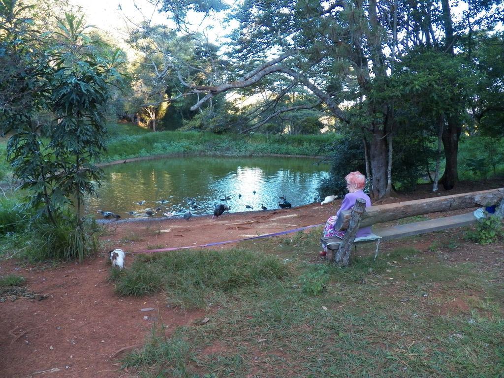 Lake Eacham Tourist Park & Cabins Εξωτερικό φωτογραφία