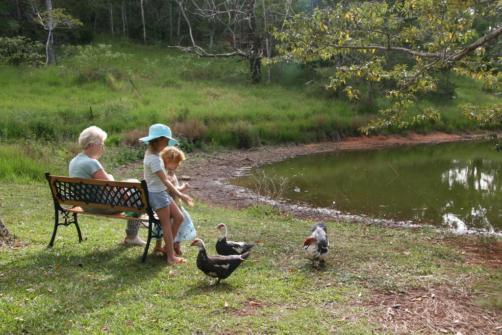 Lake Eacham Tourist Park & Cabins Εξωτερικό φωτογραφία