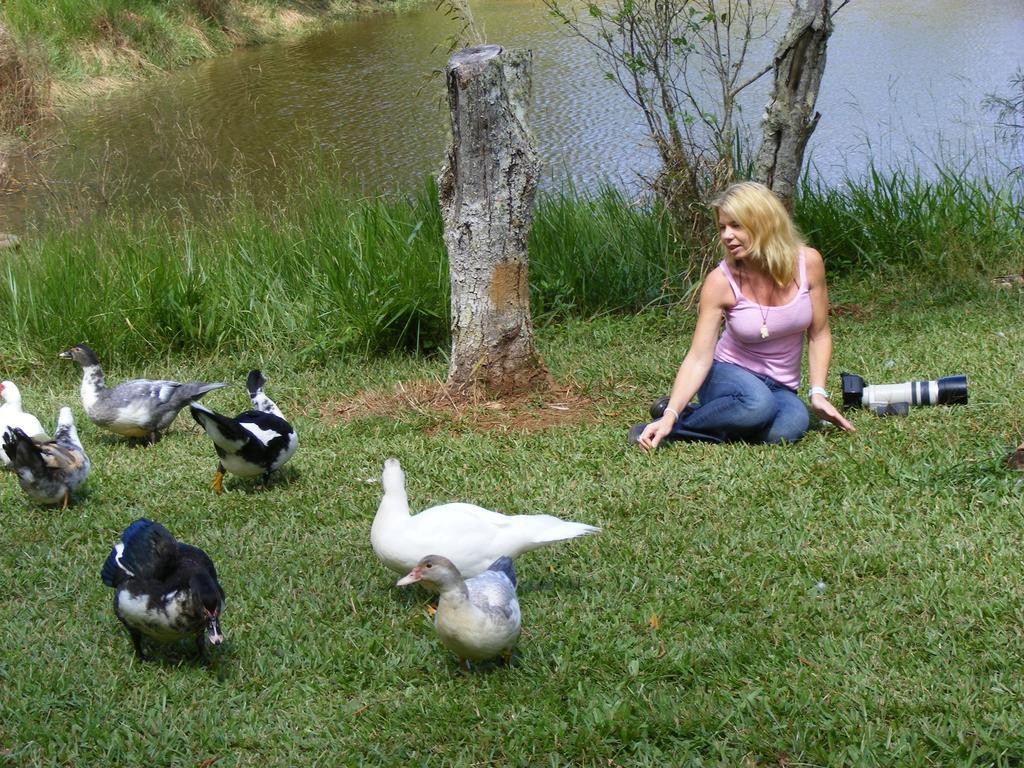 Lake Eacham Tourist Park & Cabins Εξωτερικό φωτογραφία
