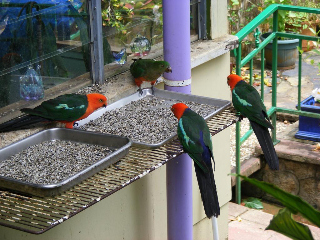 Lake Eacham Tourist Park & Cabins Εξωτερικό φωτογραφία