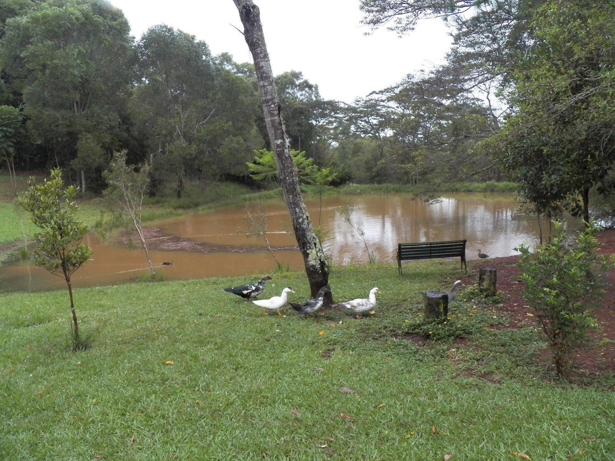 Lake Eacham Tourist Park & Cabins Εξωτερικό φωτογραφία